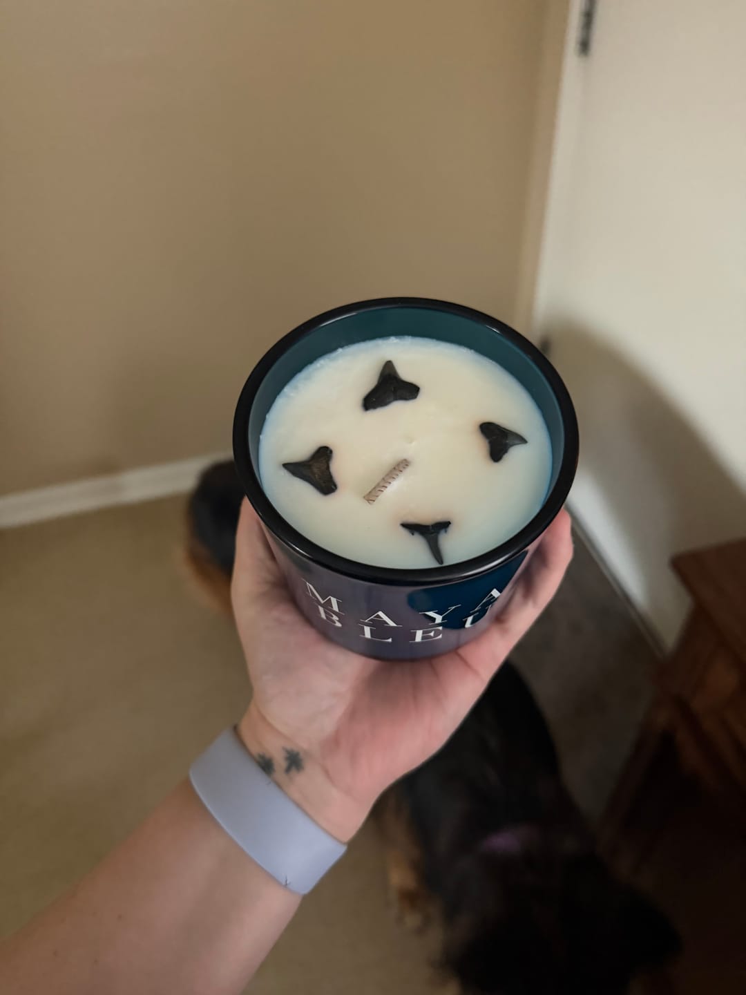 Customer photo review of The Original Shark Tooth Candle