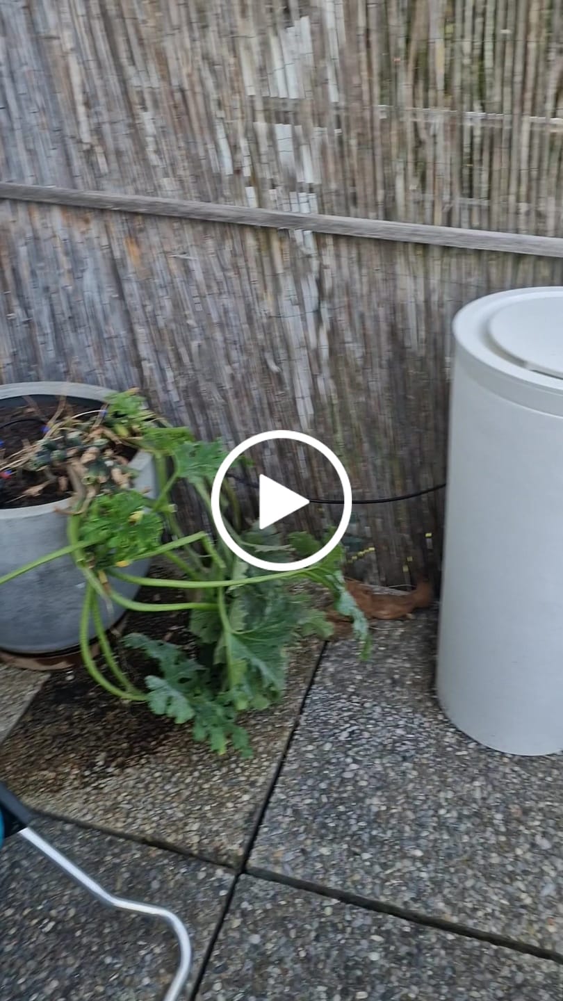 Customer video review of Boum Pro Wassertank 55 L