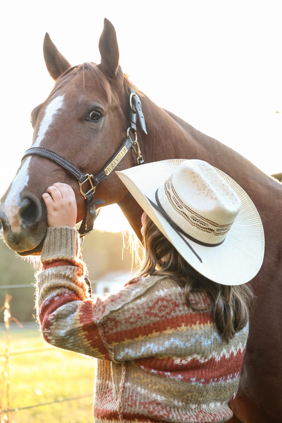 Customer photo review of OptiWize Collagen +Plus Horse Joint Supplement
