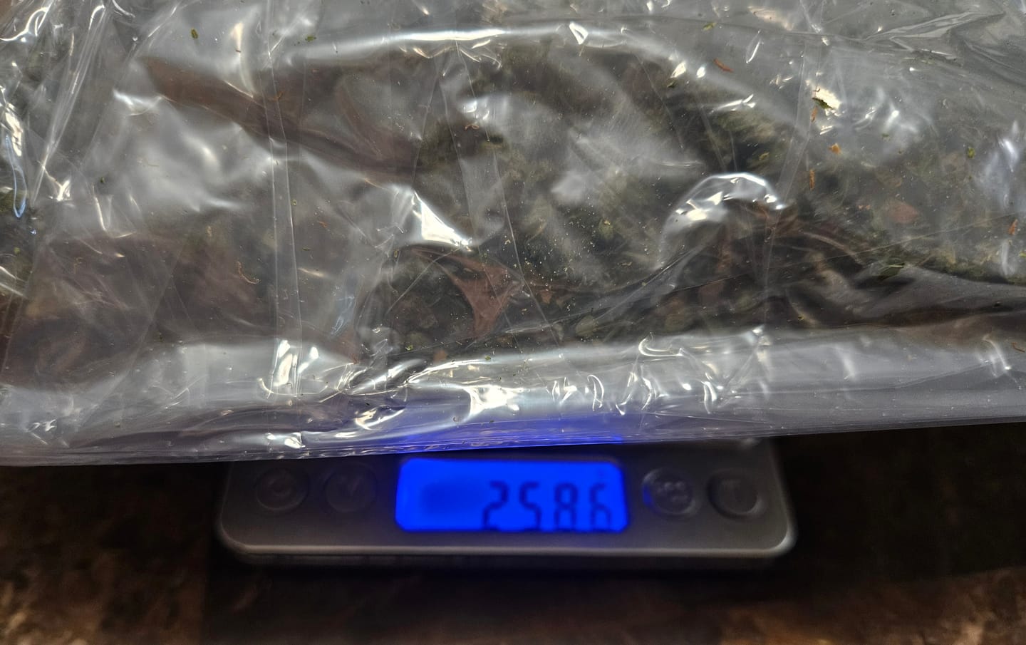 Customer photo review of Mochi Gelato - Bulk - Indica
