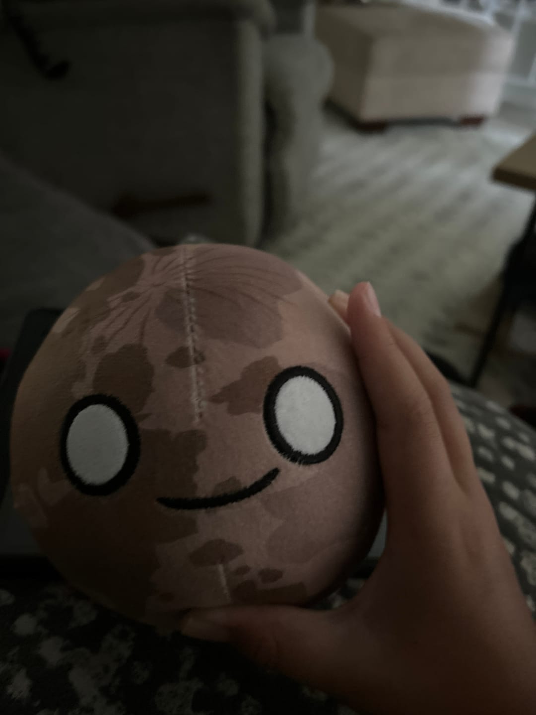 Customer photo review of The SolarBalls Mercury Plush