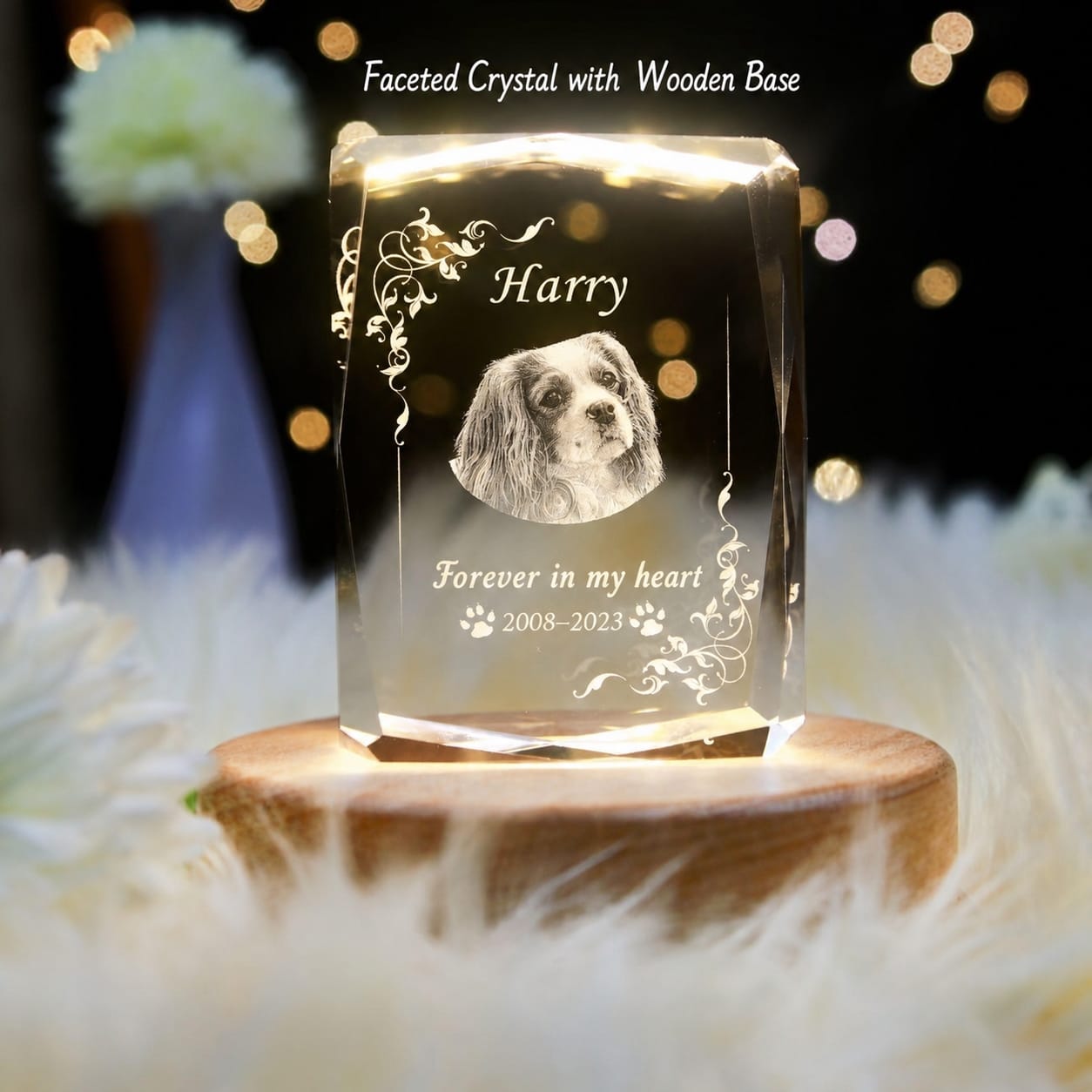 Customer photo review of 3D Pet Portrait Sculpting Crystal Night Light