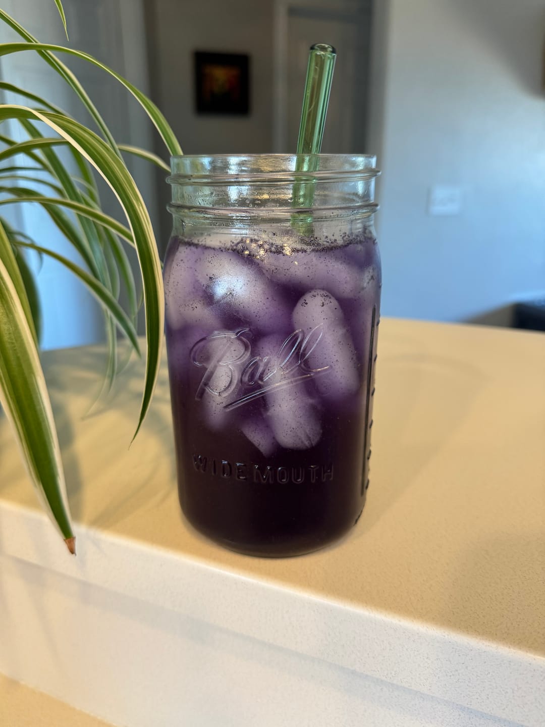 Customer photo review of Butterfly Pea & Lemon Herbal  Electrolytes