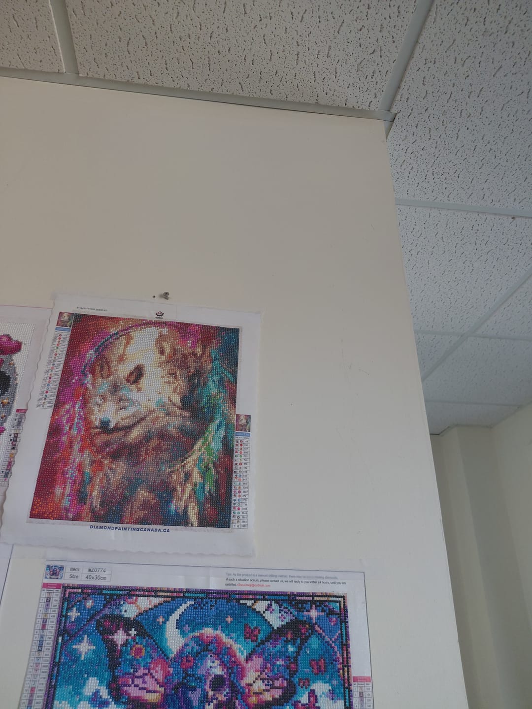 Customer photo review of Full Drill - 5D DIY Diamond Painting Kits Dream Catcher Wolf