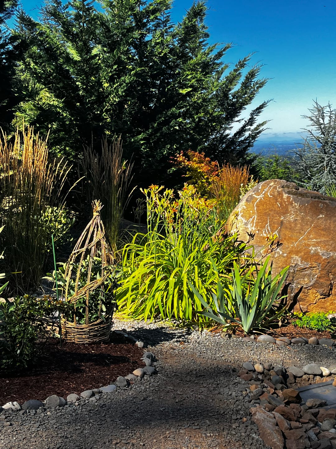 Customer photo review of The Willow Plant Support (3.8 Feet Tall)