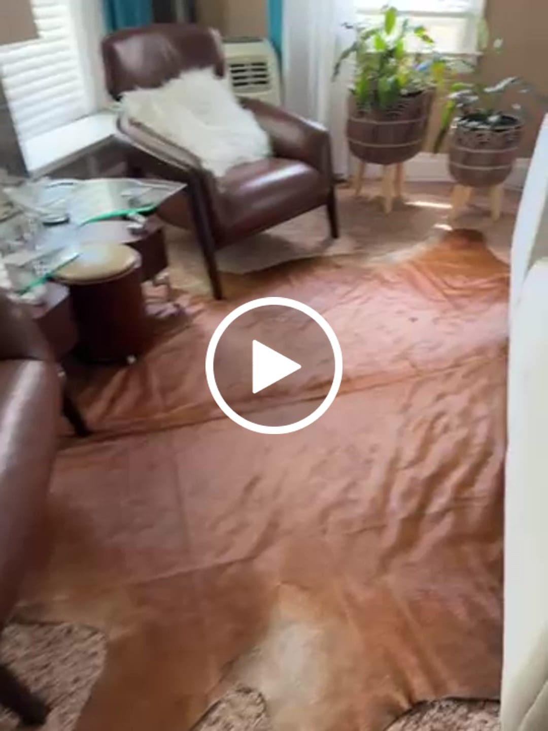 Customer video review of SUPER SALE Brown Natural Cowhide Rug - XX-Large 8' 2"H x 7' 0"W