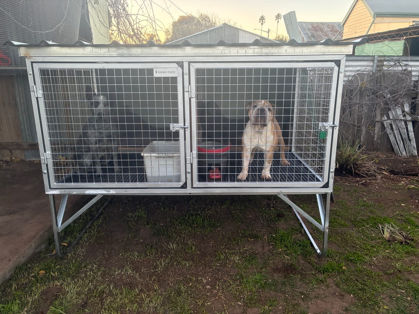 Customer photo review of Raised Safety Kennel