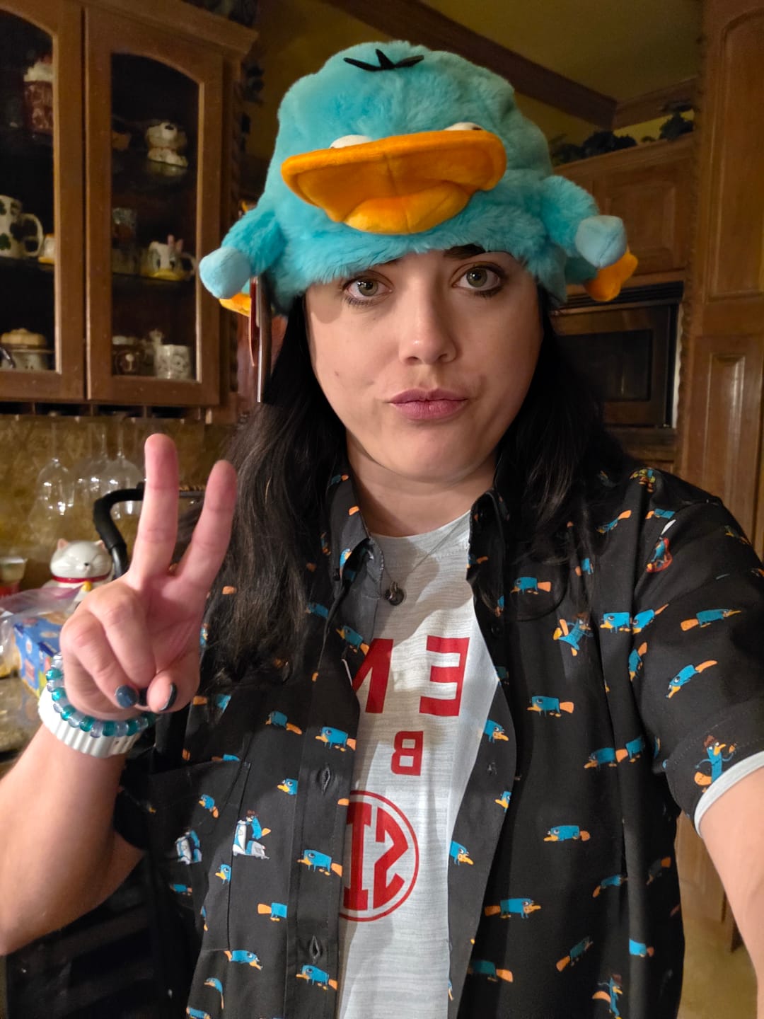 Customer photo review of Disney’s Phineas and Ferb "Perry the Platypus" – Plush Hat