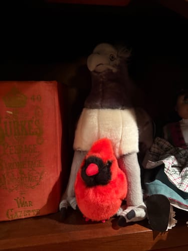 Customer photo review of Northern Cardinal Plush with Hanging Loop – Adorably Realistic Design for Bird Lovers
