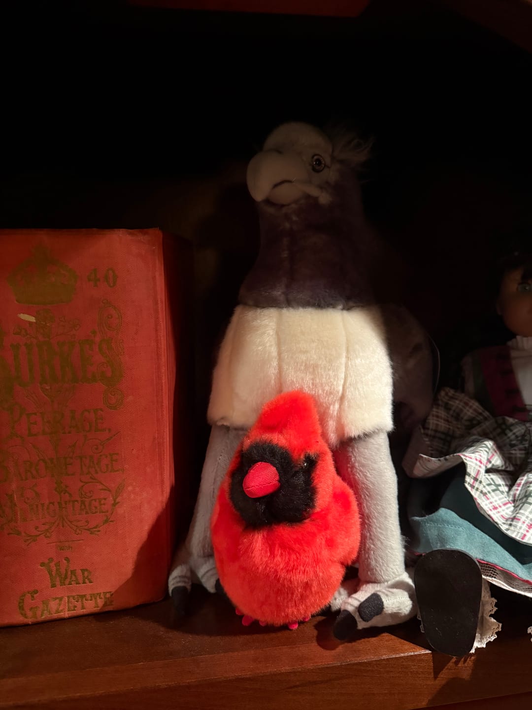 Customer photo review of Northern Cardinal Plush with Hanging Loop – Adorably Realistic Design for Bird Lovers