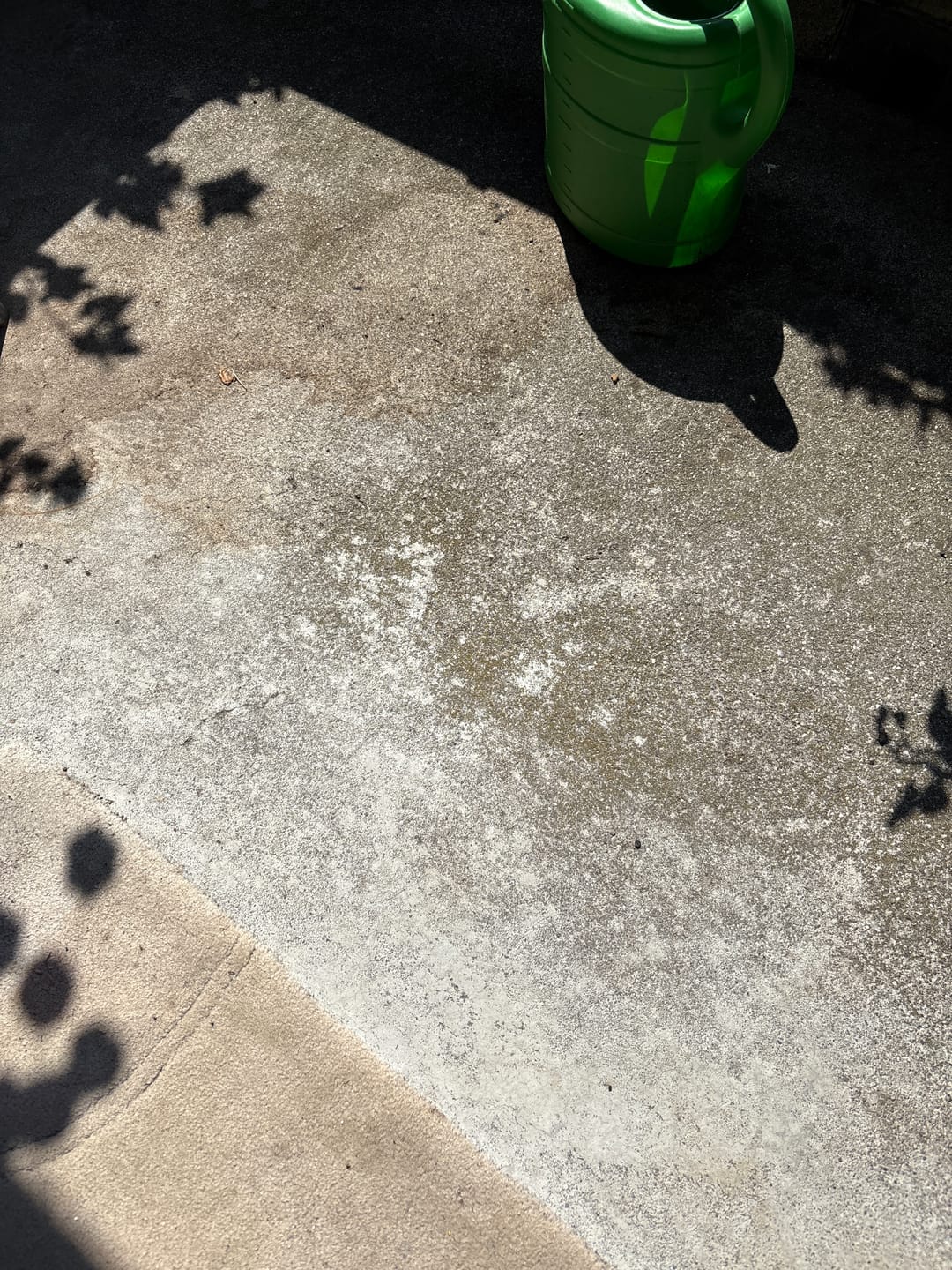 Customer photo review of AquaFlex Pro – Der flexible Gartenschlauch mit 7 Sprühfunktionen
