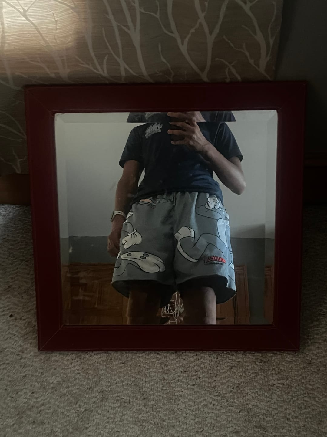 Customer photo review of 1098 - Looney Tunes Basketball Shorts