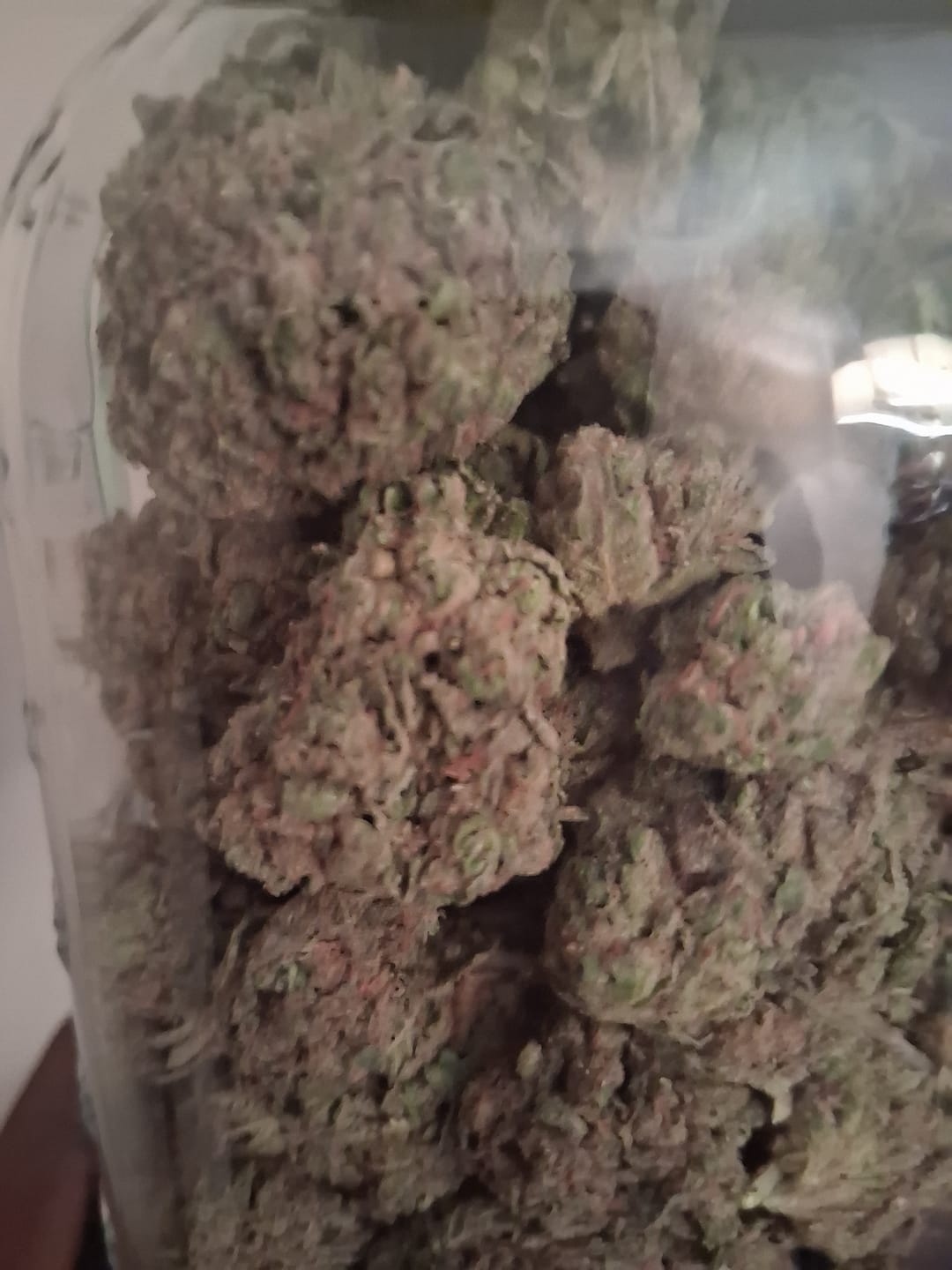 Customer photo review of Lato Pop - Bulk- Hybrid