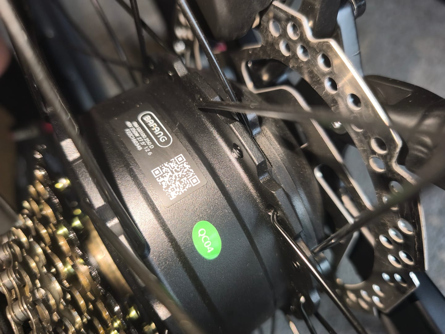 Customer photo review of DUOTTS E29 Electric Bike