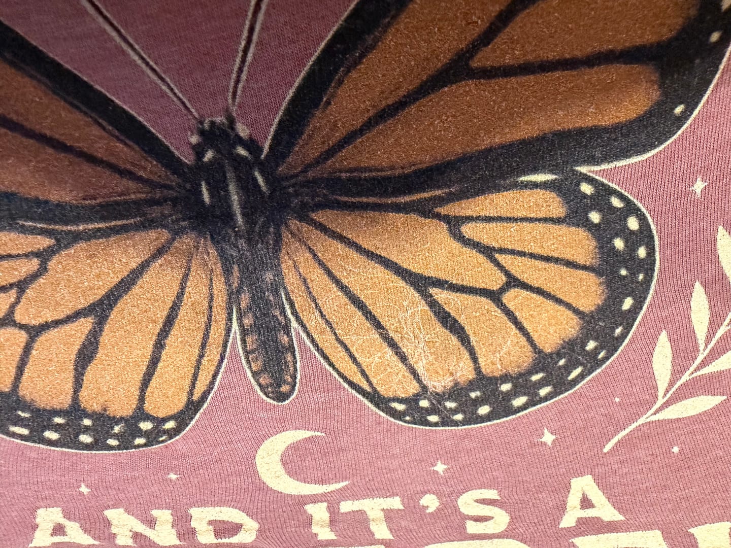 Customer photo review of One Monarch Butterfly V-Neck T-Shirt