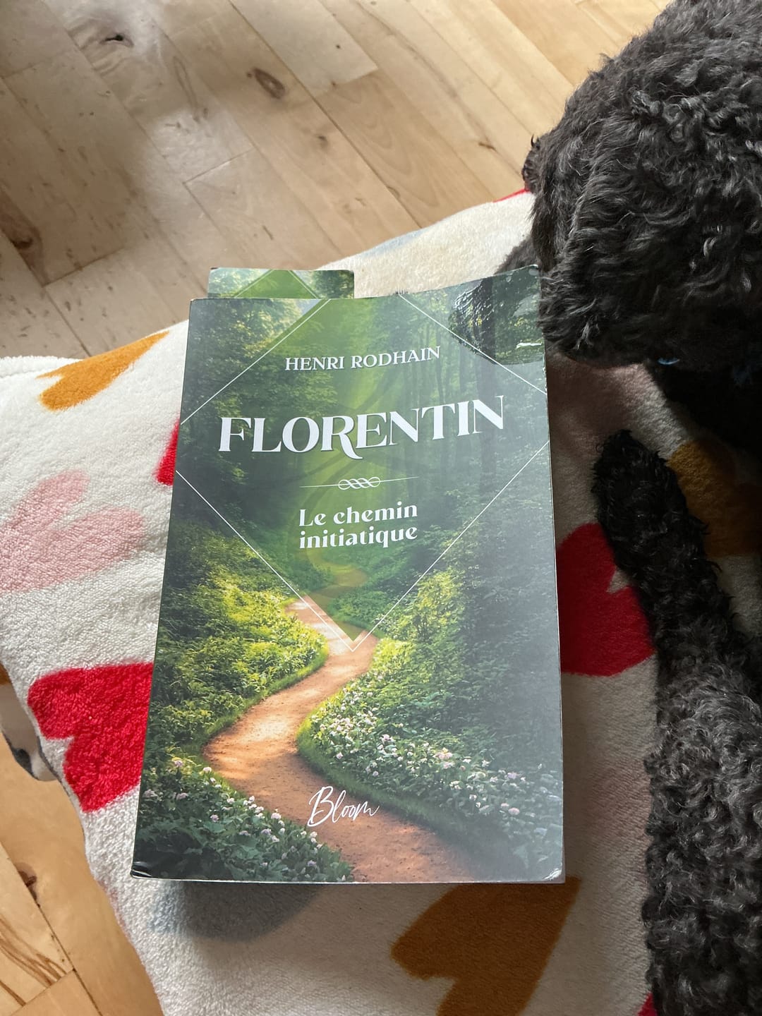 Customer photo review of Florentin - Henri Rodhain