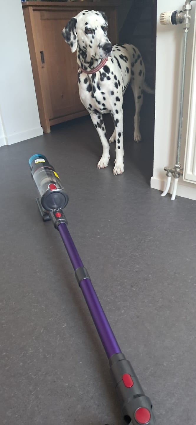 Customer photo review of Krachtige steelstofzuiger met automatische stofherkenning / Tot 60 minuten gebruiksduur / Zakloze stofzuiger voor tapijt, harde vloeren en dierenharen / 480W