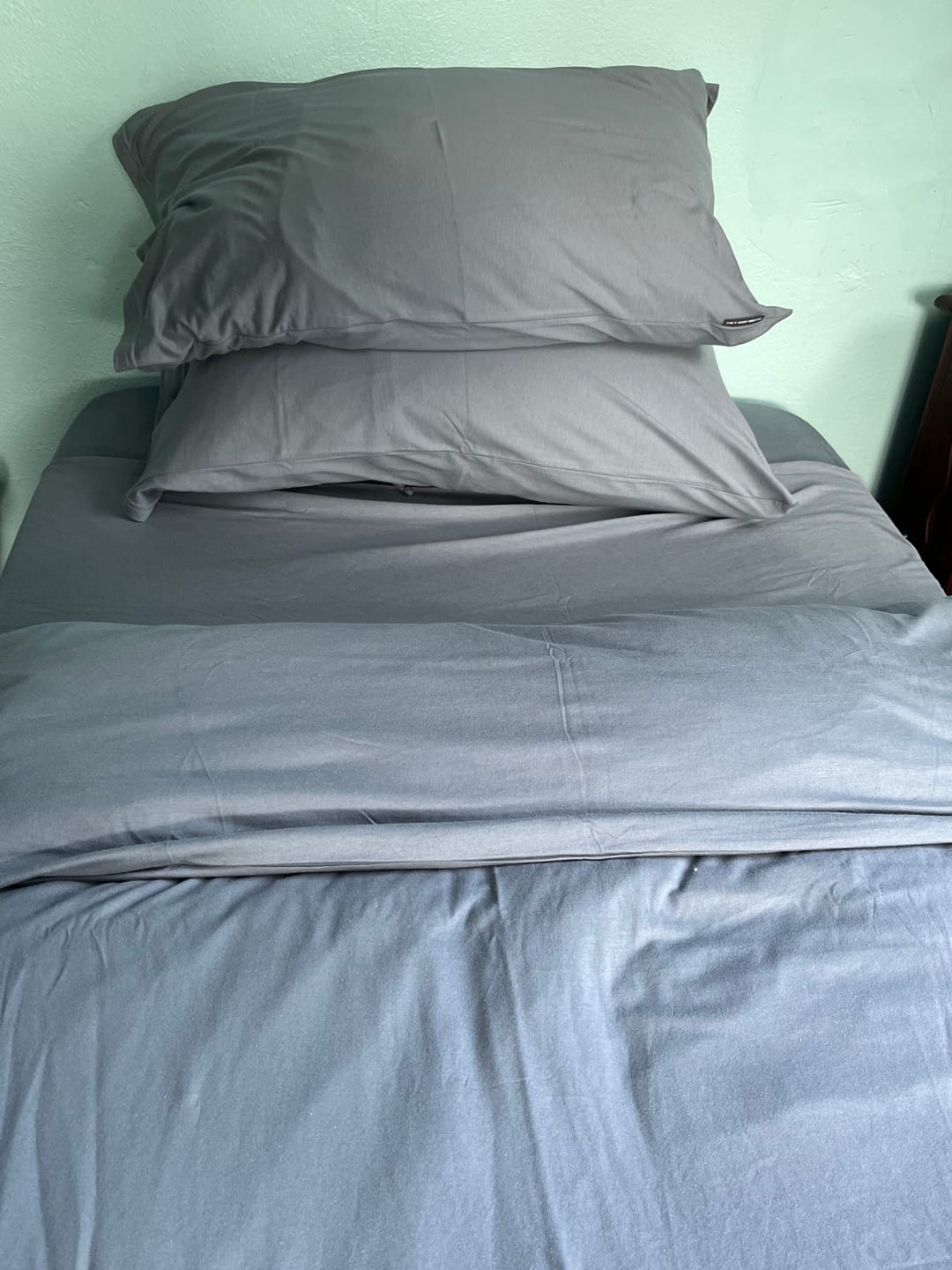 Customer photo review of The Hungarian Goose down pillow