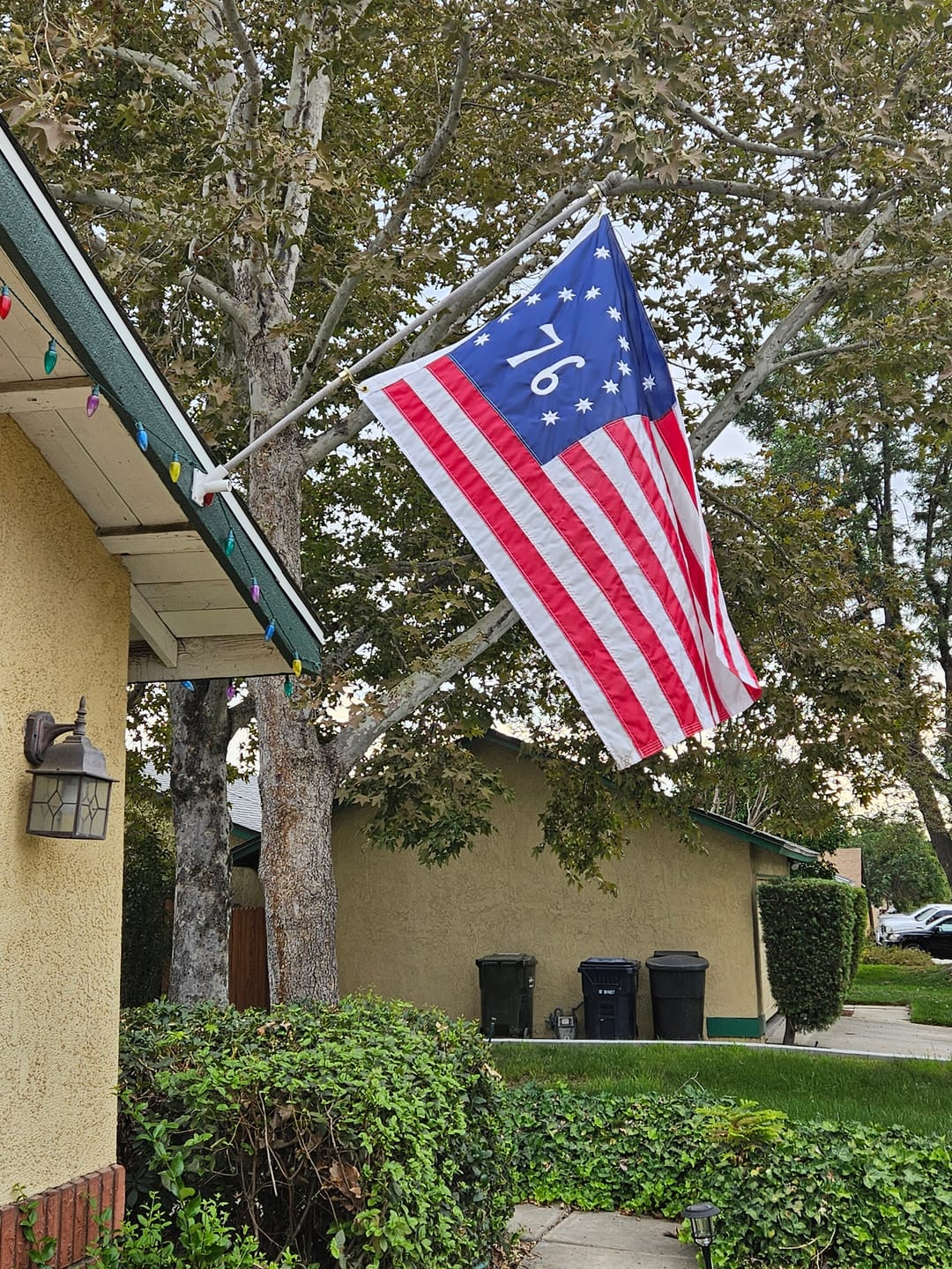 Customer photo review of 3' x 5' Bennington Flag