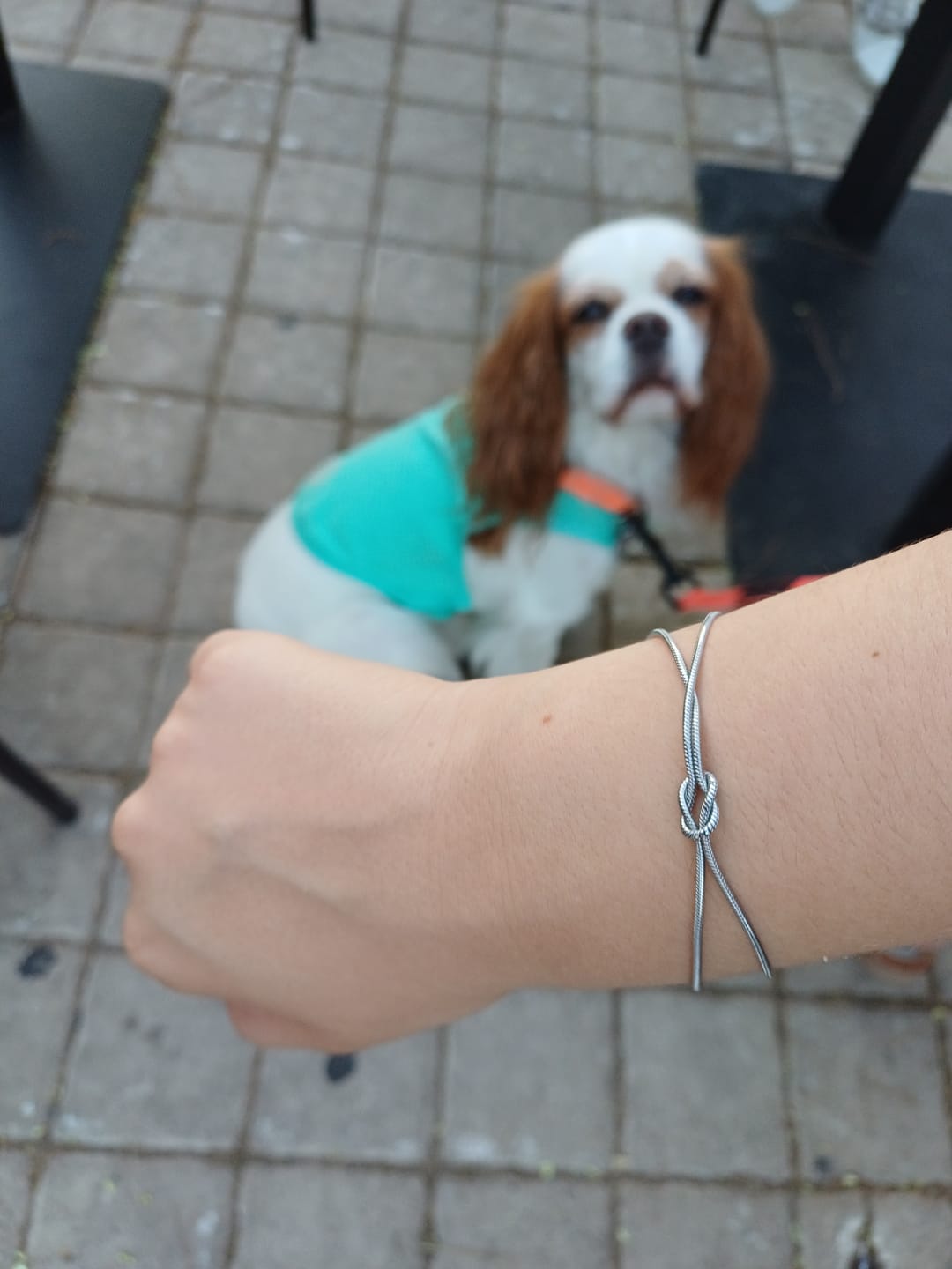 Customer photo review of 1+1 FREE: Never Ending Bracelet