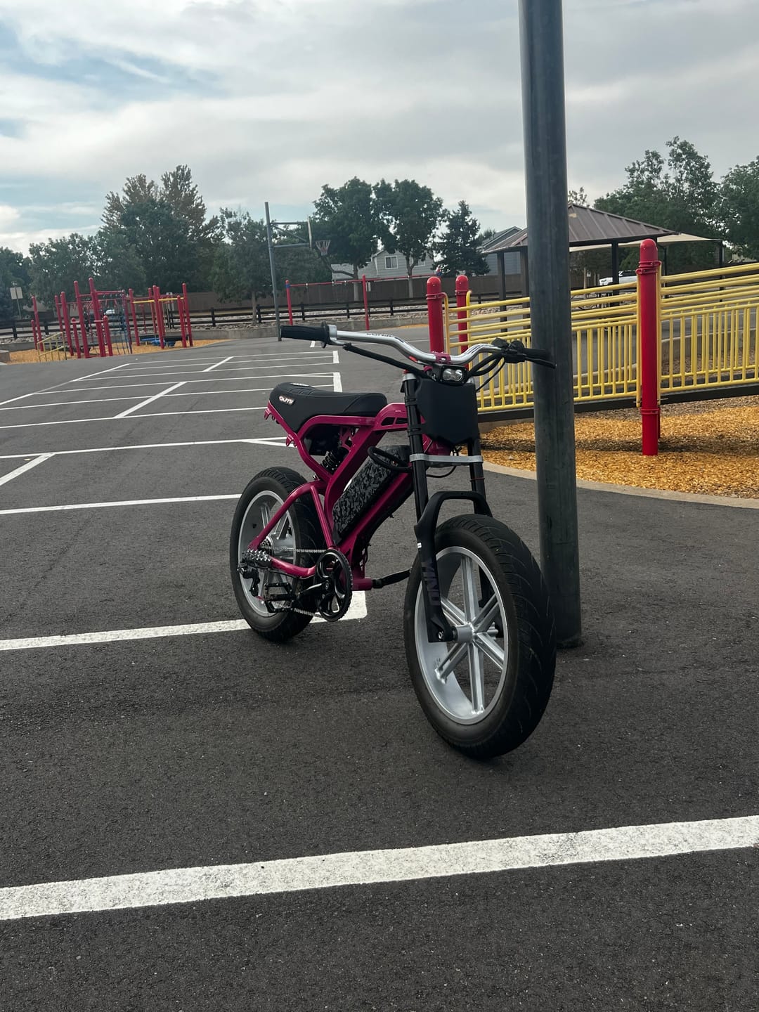 Customer photo review of Tamobyke V20 Electric Bike