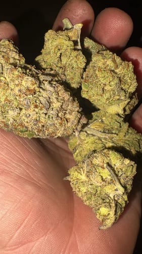 Oreoz - Bulk - Indica photo review