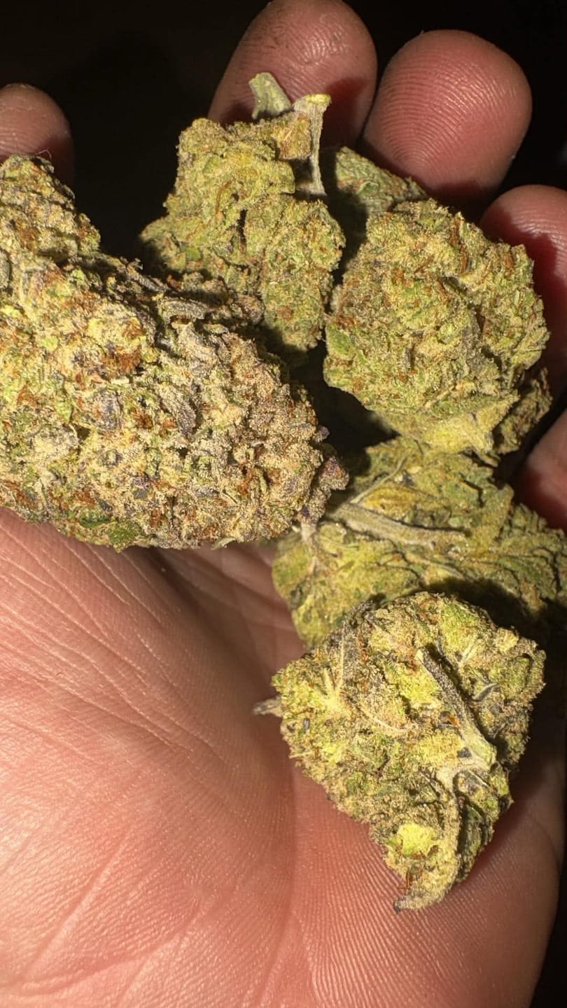 Customer photo review of Oreoz - Bulk - Indica