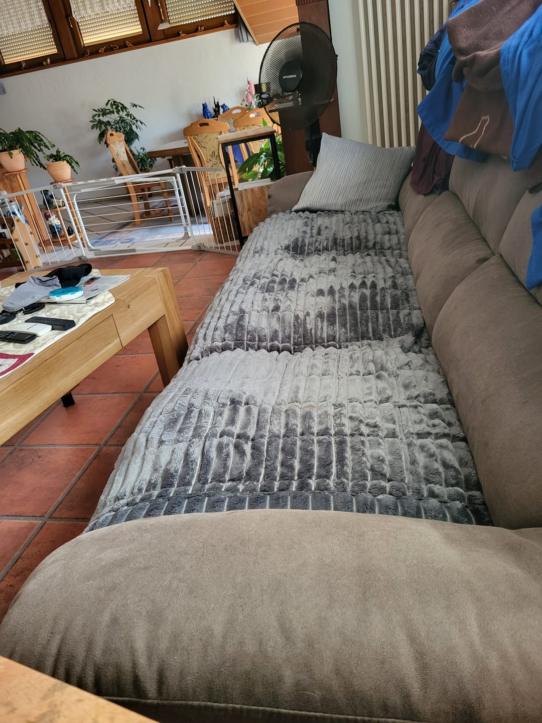 Customer photo review of PetLounge I Premium Sofa-Schutz