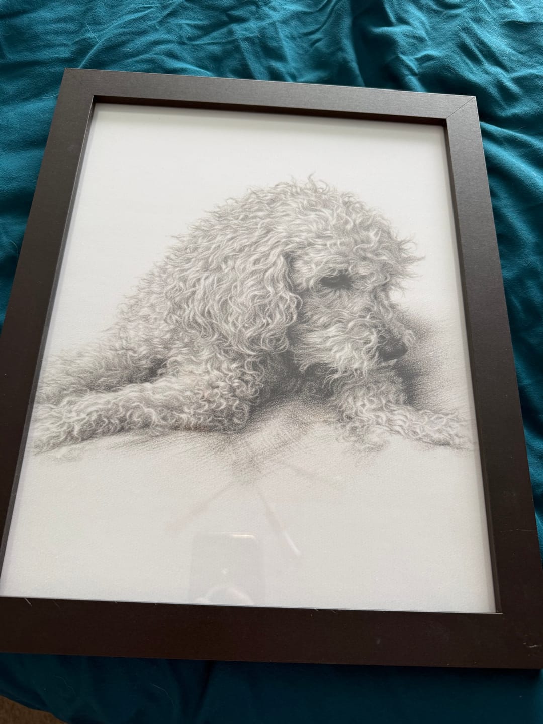 Customer photo review of Pencil Sketch - Personalised Poster