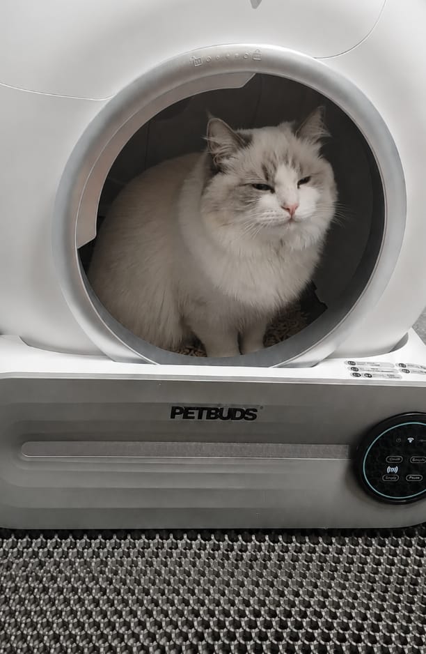 Customer photo review of Petbuds™ Pro 2026 Automatic Self-Cleaning Litter Box