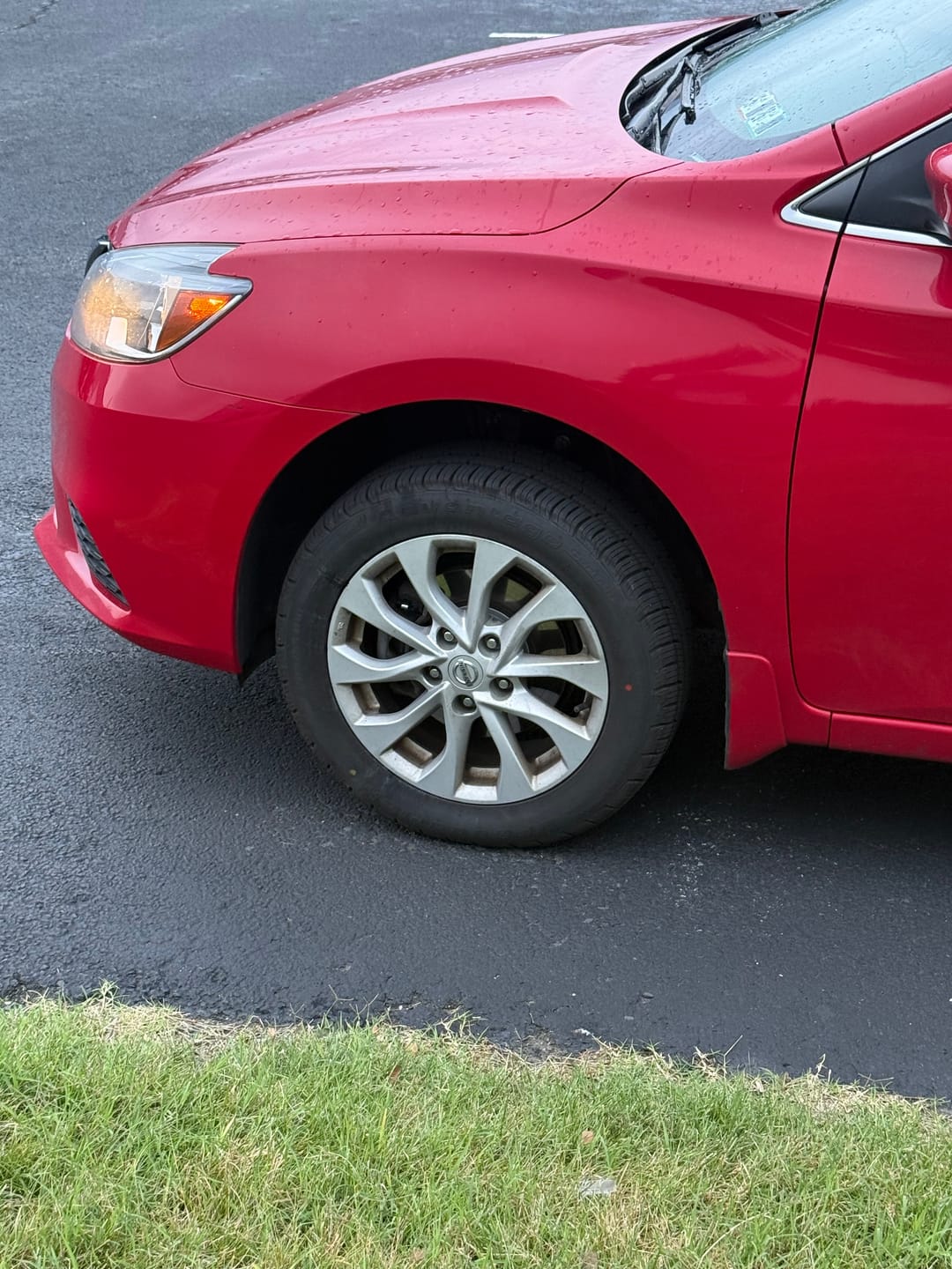 Customer photo review of Worry-Free Purchase