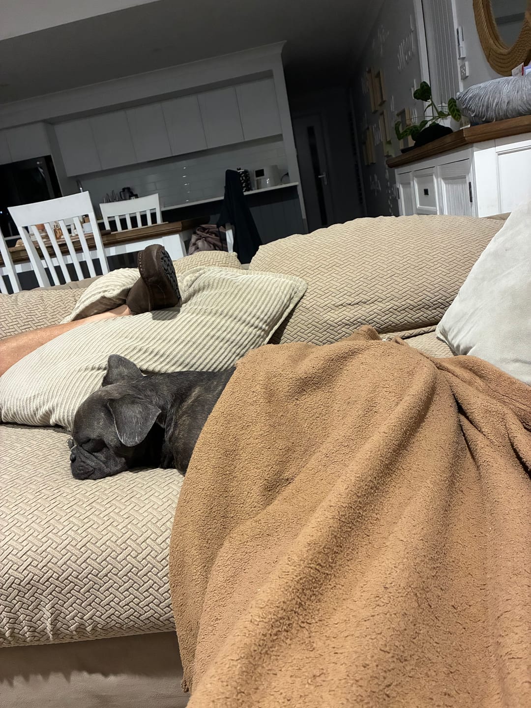 Customer photo review of Couch Covers - Classic