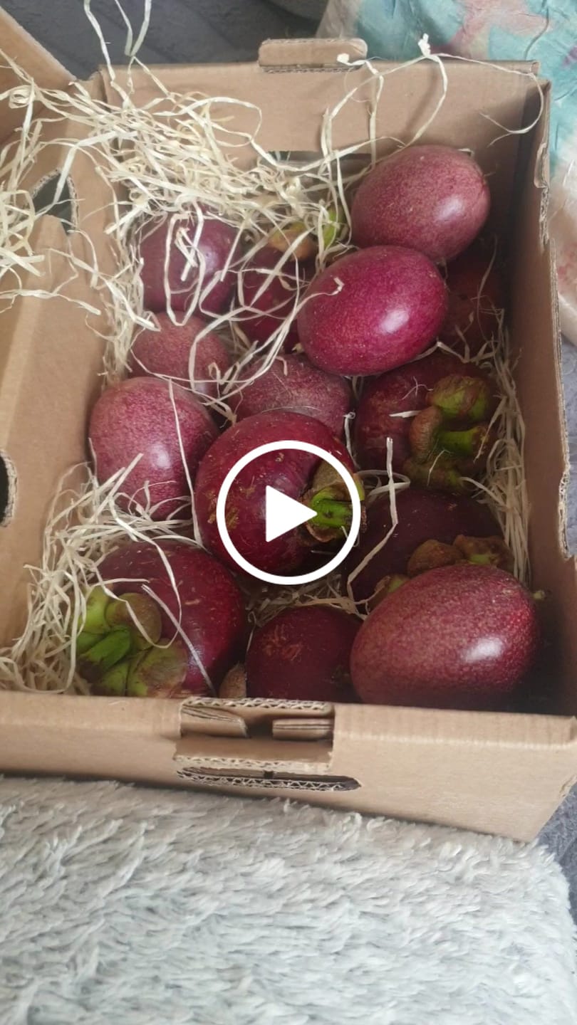 Customer video review of Avocado-Mix 1kg