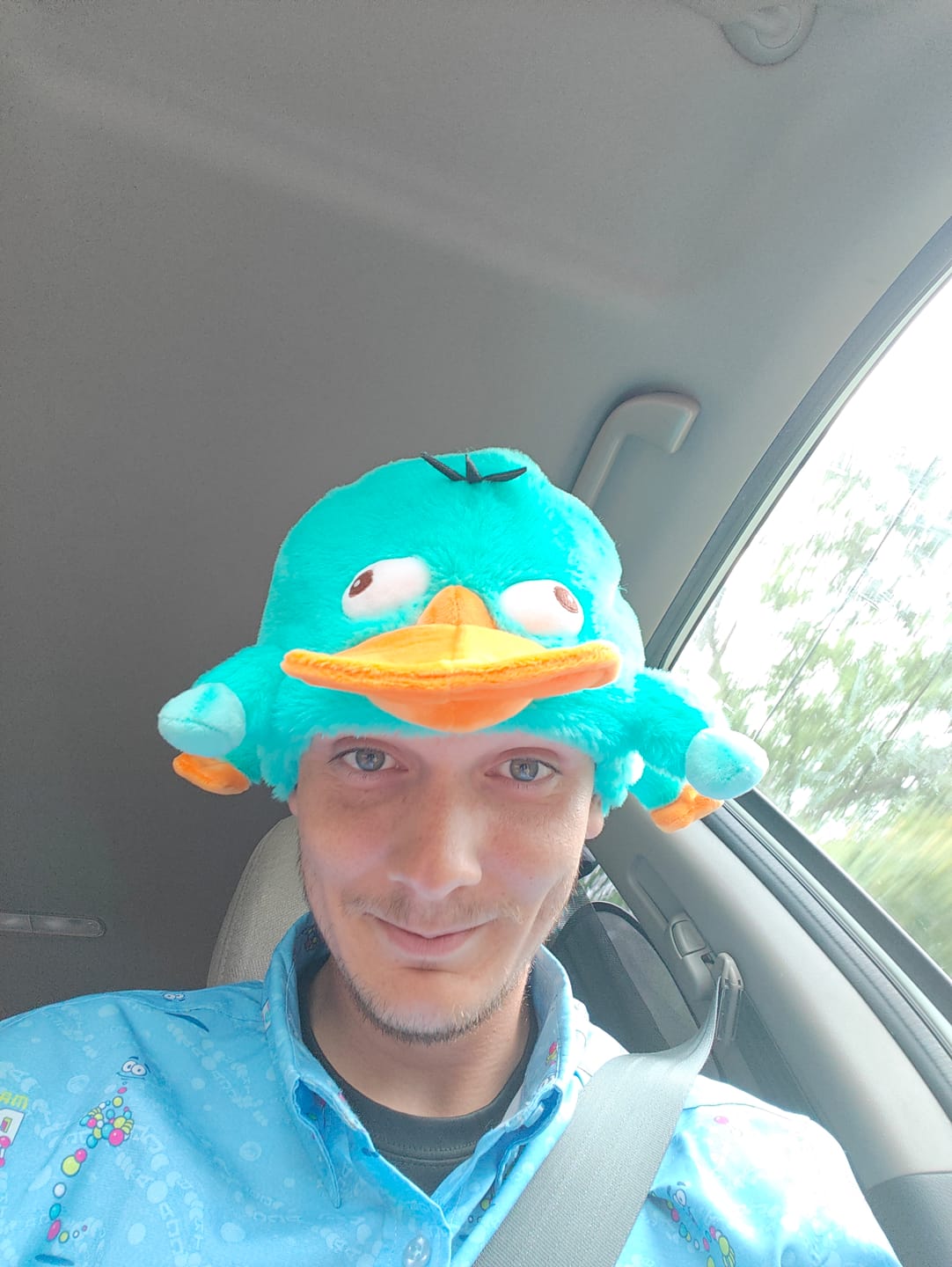 Customer photo review of Disney’s Phineas and Ferb "Perry the Platypus" – Plush Hat
