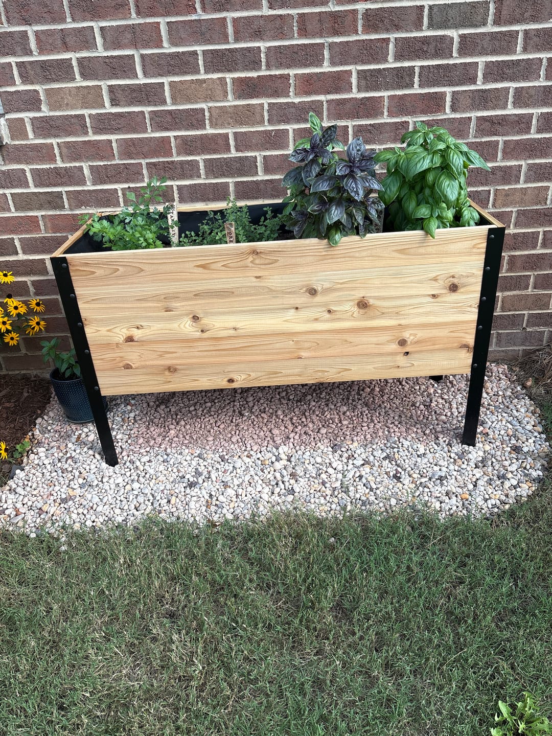 Customer photo review of 18″ x 48″ Deep Root Raised Garden Bed - 30″ TALL - Select Grade