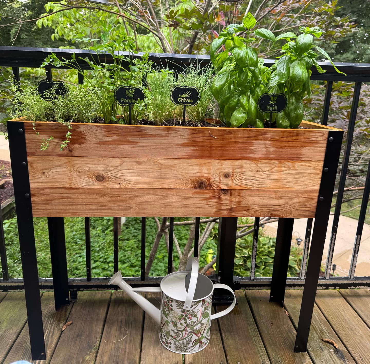 Customer photo review of 11.5″ x 36″ Shallow Root Raised Garden Bed - 30″ TALL / Select Grade