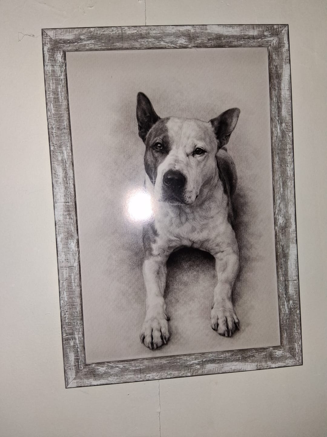 Customer photo review of Charcoal - Personalized Poster
