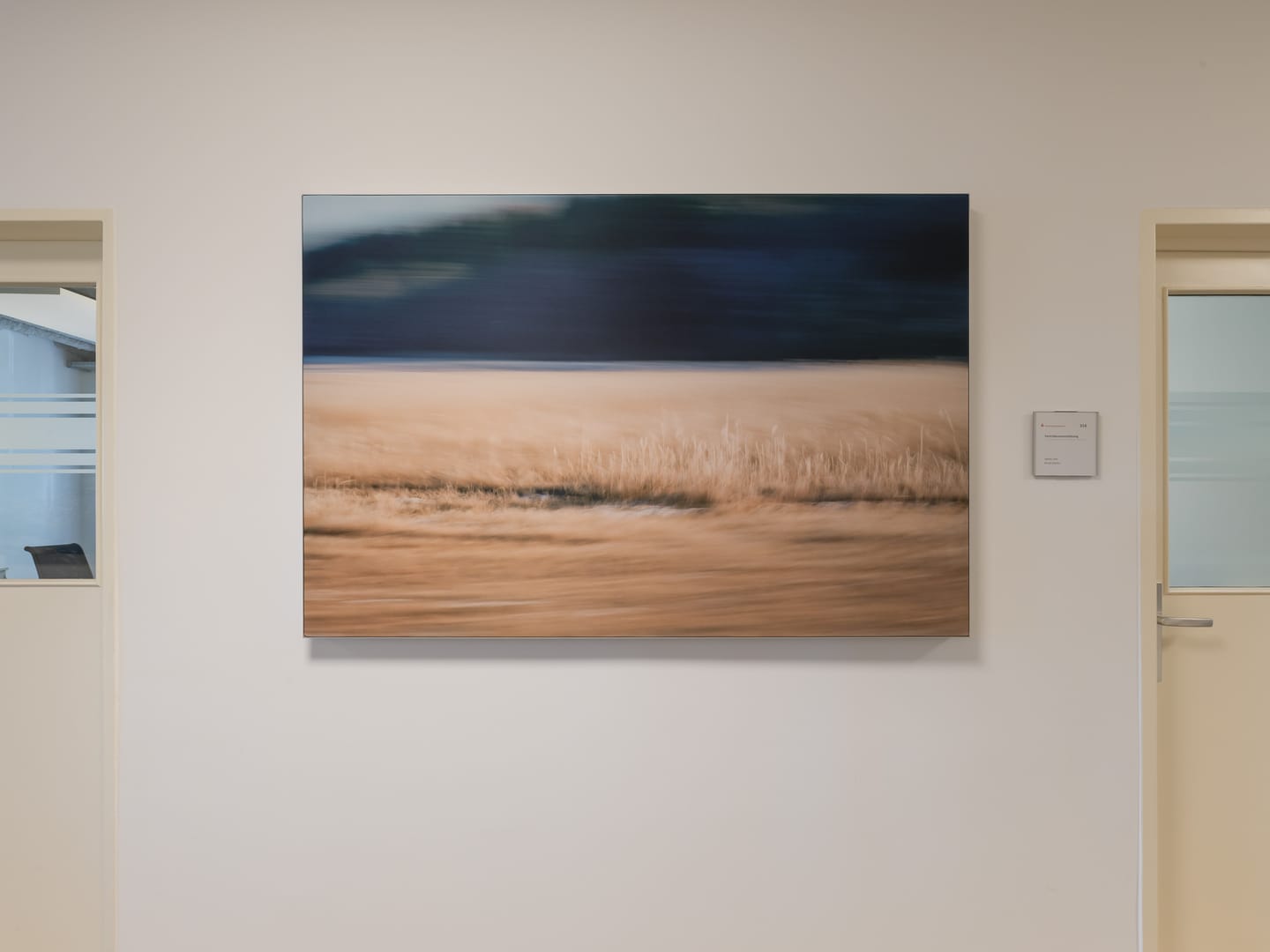 Customer photo review of Akustikbilder "Murnauer Moos I"