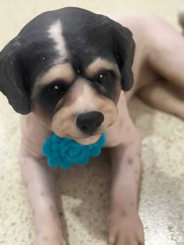 Customer's custom pet figurine, a detailed dog statue with black and tan markings and a bright blue flower collar.