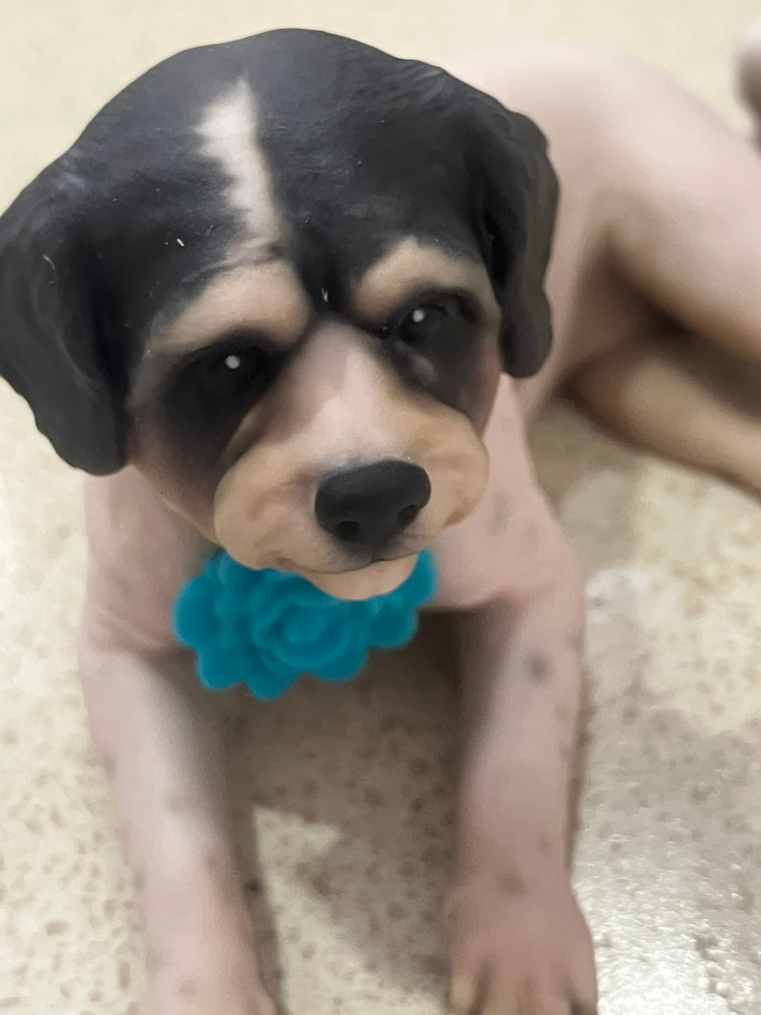 Customer photo review of Personalized Pet 3D Figurine from Photo