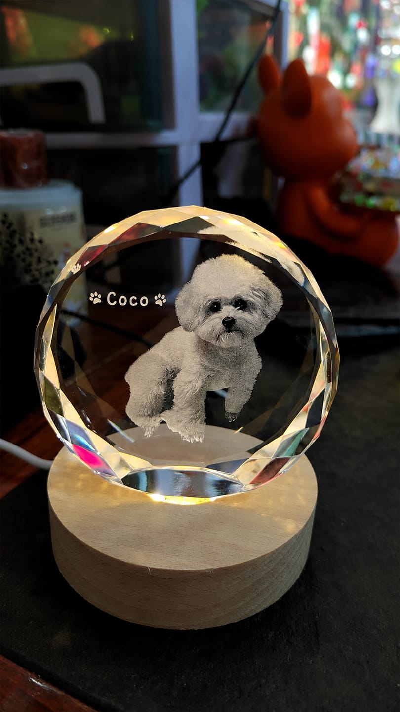 Customer photo review of 3D Pet Portrait Sculpting Crystal Night Light