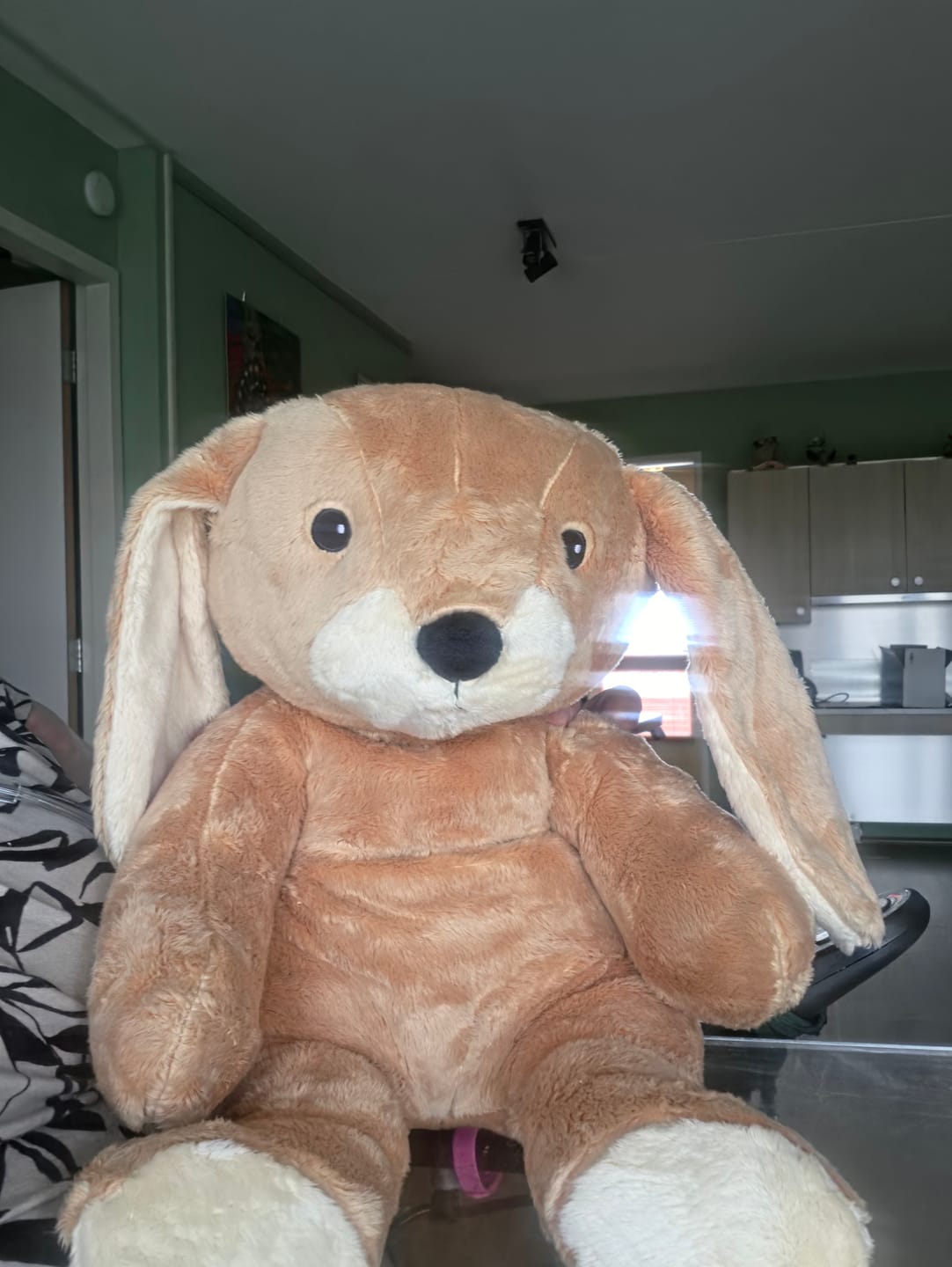Customer photo review of Lotgenootje Konijn 2kg