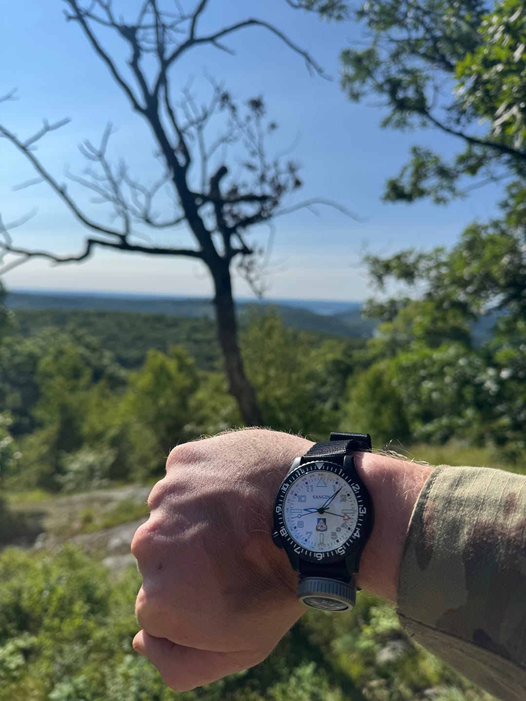 Customer photo review of TF Wolverine