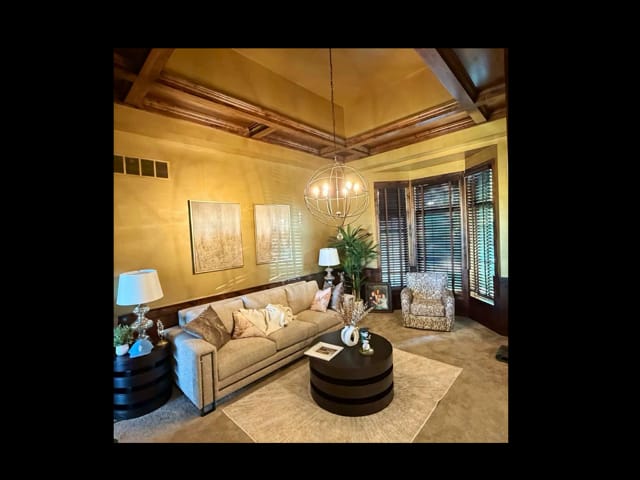 Customer photo review of Metallic Paint