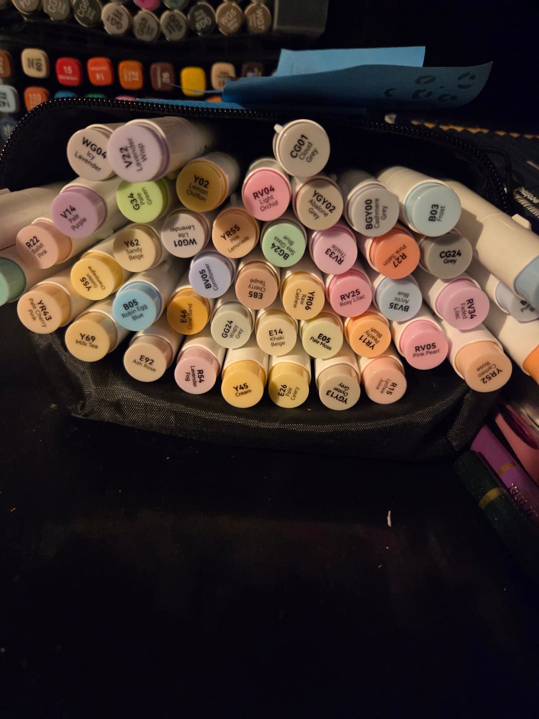 Customer photo review of Ohuhu Honolulu 48 Pastel Colors Dual Tips Alcohol Art Markers-Sweetness (New Color Codes)