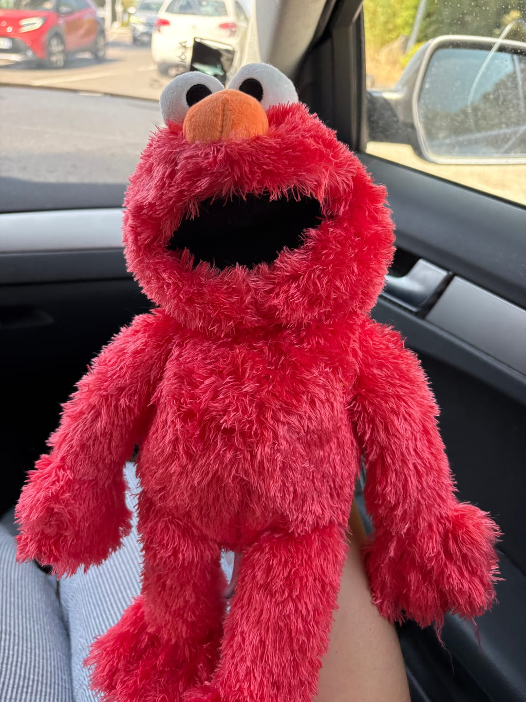 Customer photo review of Elmo Marionnette Sesame Street