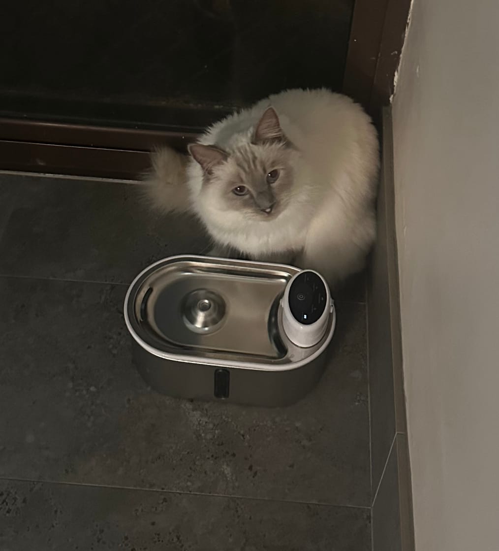 Customer photo review of Petbuds Flow Pet Drinking Fountain