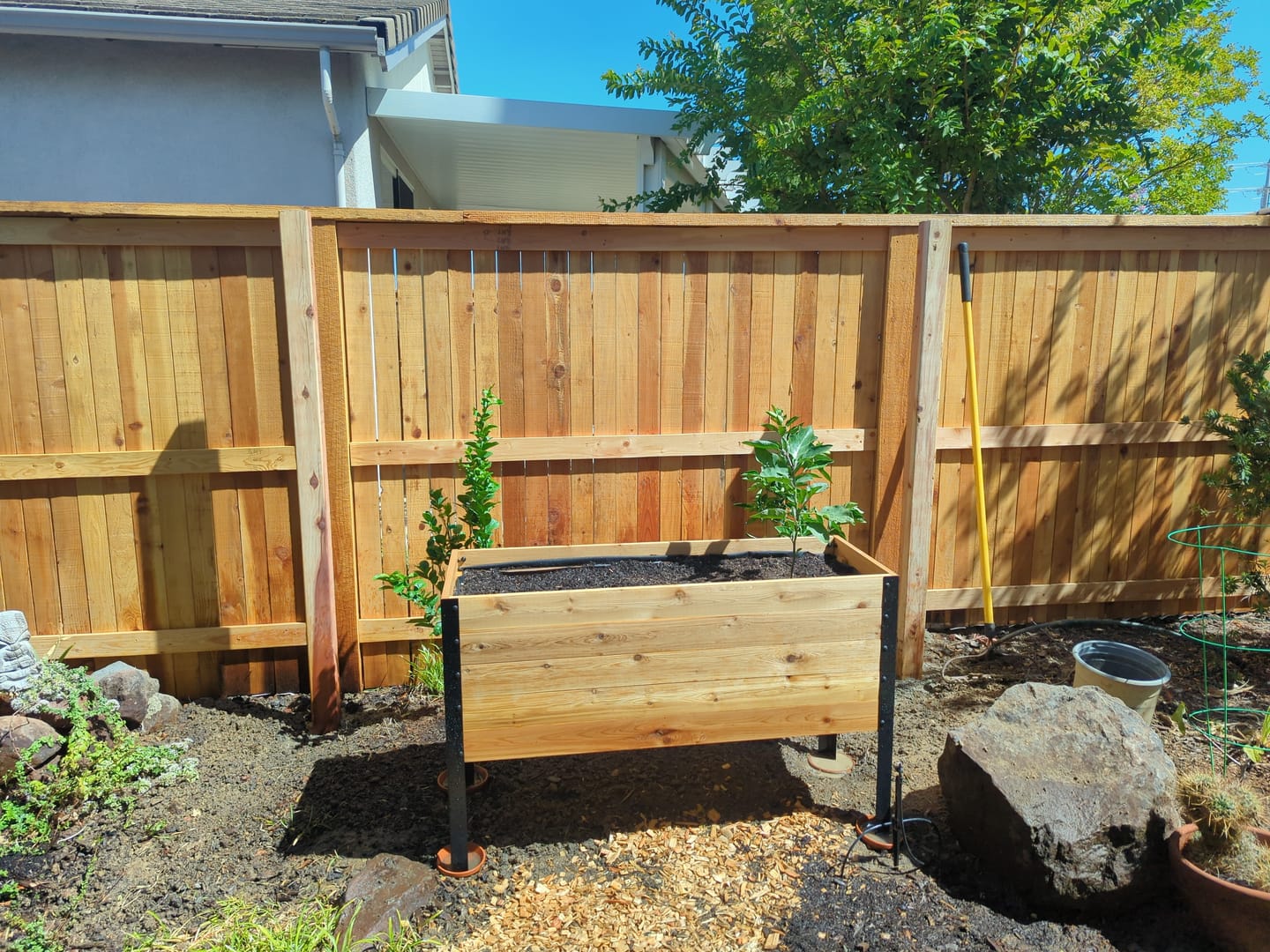Customer photo review of 18″ x 48″ Deep Root Raised Garden Bed - 30″ TALL - Select Grade