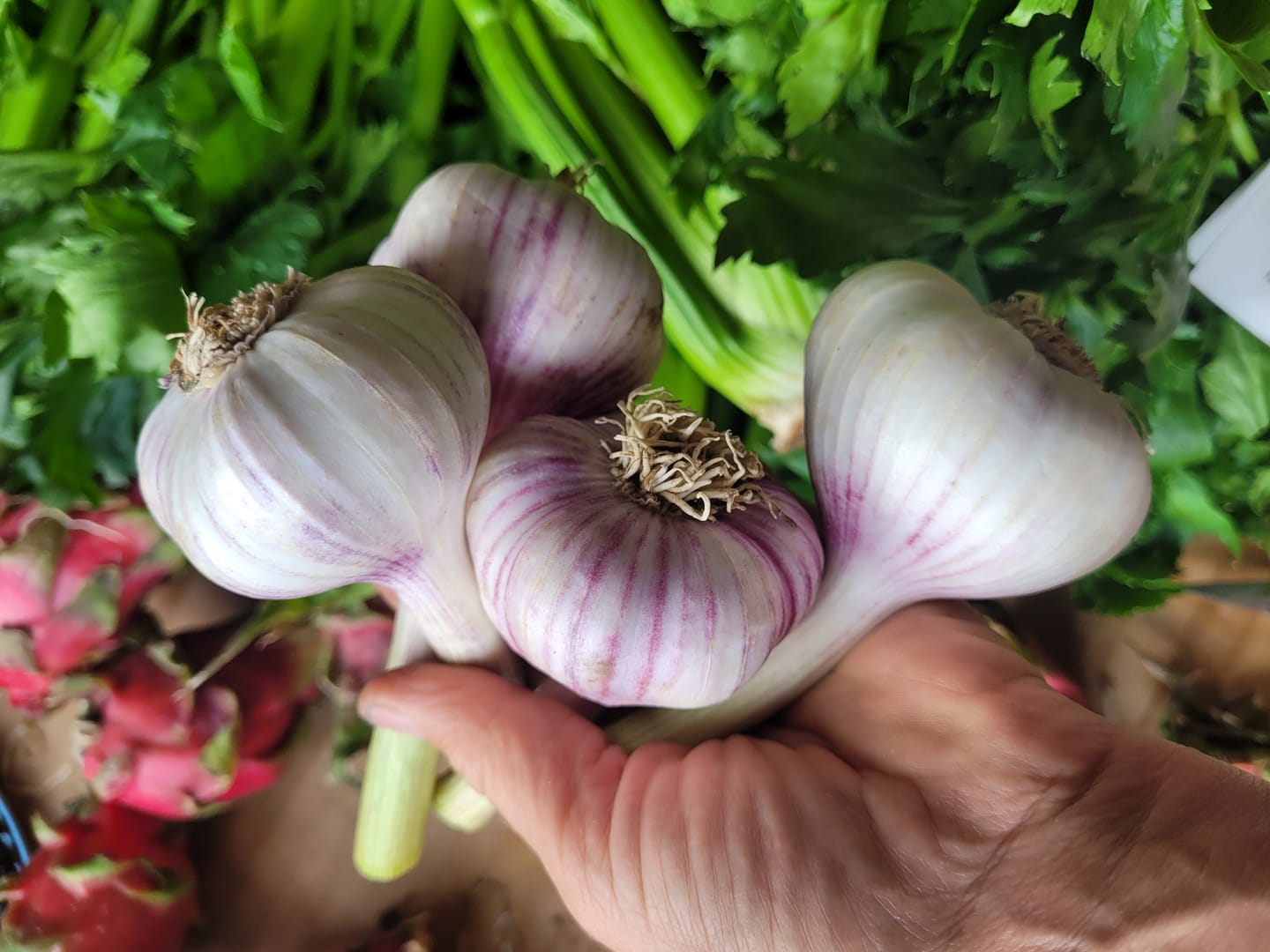 Customer photo review of Knoblauch frisch regional Bio