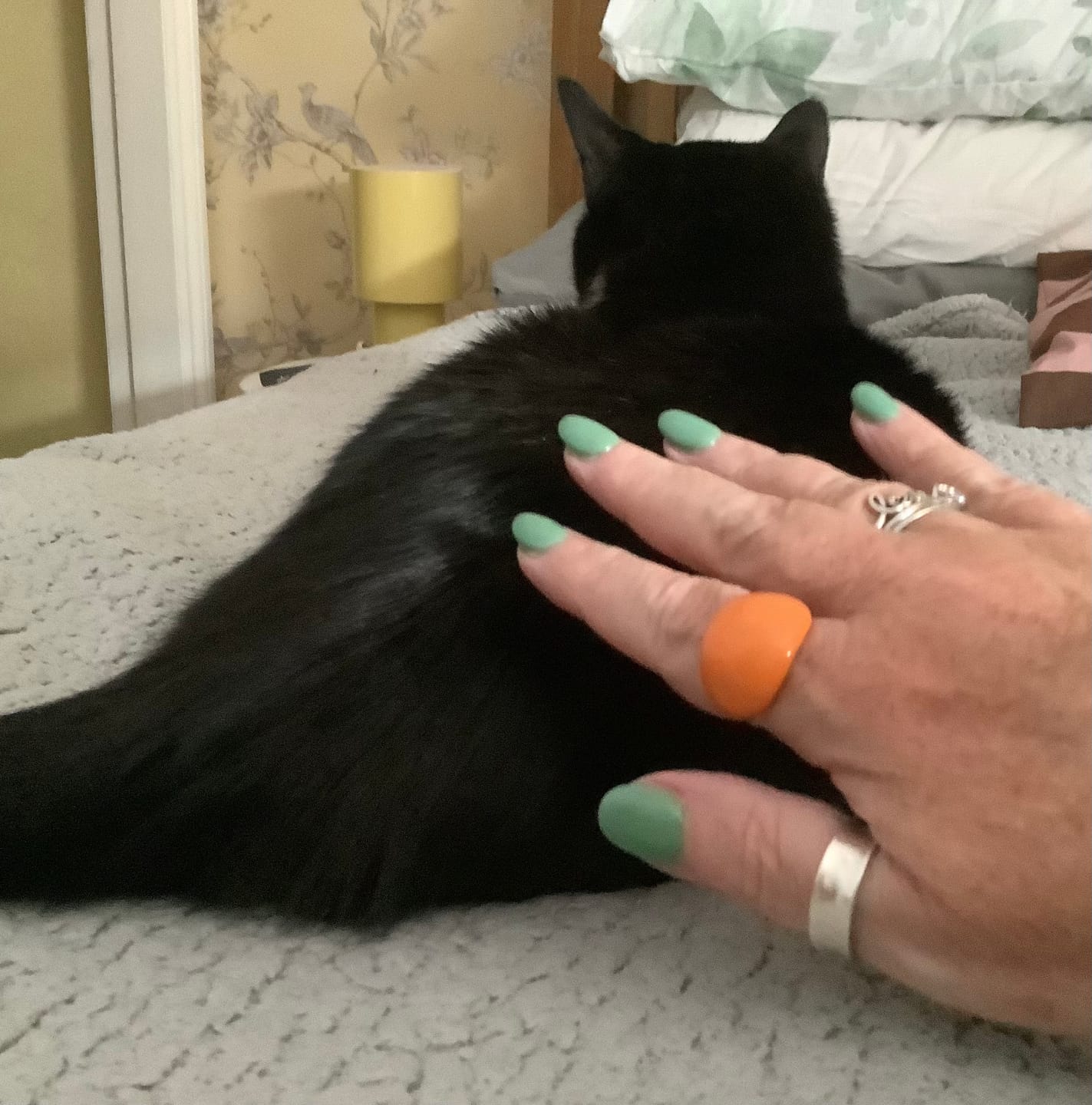 Customer photo review of Lava Drop SS Enamel Ring